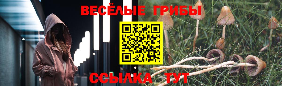 Псилоцибиновые грибы Magic Shrooms  Вход с VPN  Псилоцибиновые грибы Magic Shrooms  Джанкой 